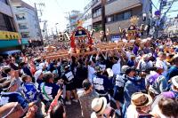 神輿の共演