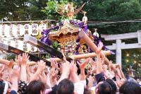 8年ぶりのサシ