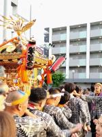 8年ぶりの「マエダ!マイダ!」